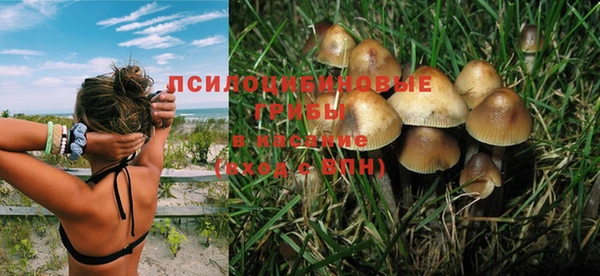 шишки Баксан