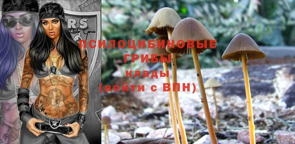 apvp Балахна