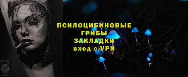 apvp Балахна