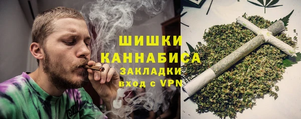 шишки Баксан