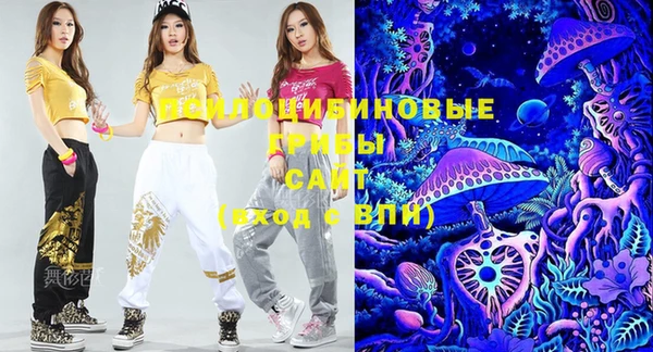 шишки Баксан